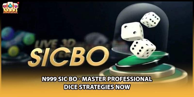 N999 Sic Bo - Master Professional Dice Strategies Now